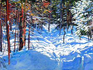 sunlight-streaming-across-a-winter-trail-17x30-wp