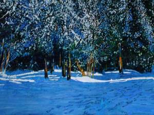 sunlit trail thru winter 20x40