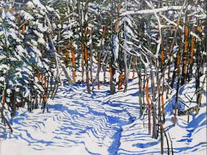 sunstriped-path-to-the-lake-27x27-