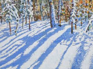 trail across all day shadows 16" x 32" / watercolour / acrylic painted directly on gessoed panel / available at studio 1700.