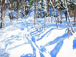 trail-thru-a-sunlit-clearing-24x48-wp