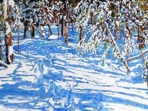 trail-thru-an-overnight-snowfall-swd-rd-24x48-wp