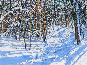 trail-thru-sunlight-2-28x48-wp
