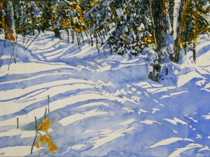 trail thru winter 5515x24-