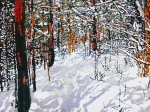 trail thru winter 81 24x34-