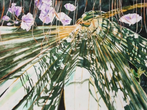 palmetto 5 22x30