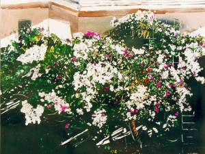 Bougainville LAnce aux Epines Grenada 22x30-