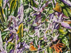 butterflies & purples 21x21