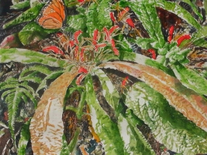 ground flowers st kitts 15x14