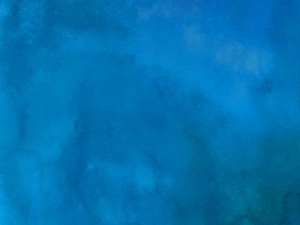 larry snorkelling  4