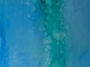 larry snorkelling  6