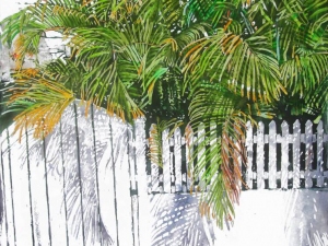 palm shadows hourglassing  down-across-and-past-noon-30x22-