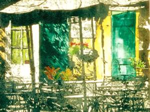 secluded backyard n orleans 30x22