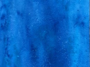 wendy snorkelling 5 30x11-wp