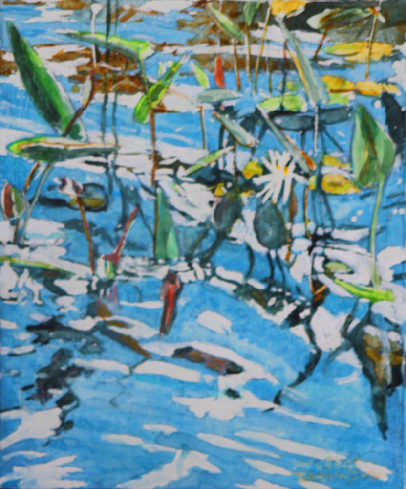 Waterlilies / Pickerel Weed | Micheal Zarowsky Fine Art