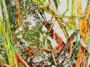 1_frog-26x18-