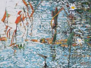 pickerel-weed-catching-sunrise-with-lilies-n-sprinkles-14x21-wp