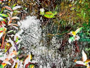 the-quietness-of-lilies-16x22-