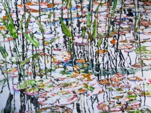 water-lillies-wild-rice-16-20x26