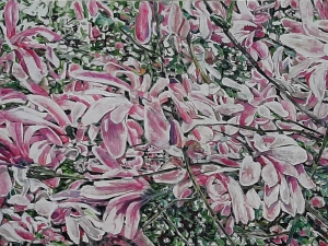 magnolia 37 18x31.5