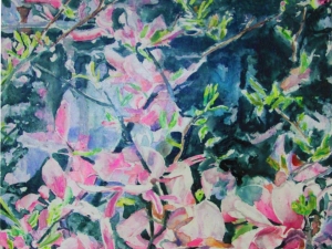 SOLD  magnolia 26 18x17