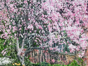 magnolia 35 36x48