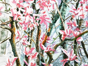 SOLD  magnolias 31 16x16