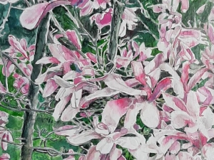 magnolias 38 24x16