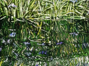 SOLD  wild-irises 62 31x22