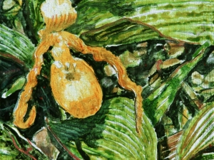 SOLD Yellow ladys slipper 12x12