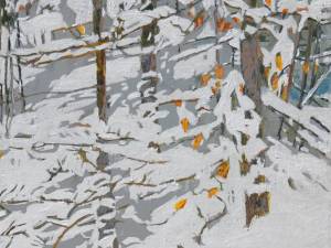 sunlight the morning after an overnight snowfall  26.75x18