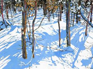 Windy-day-riot-of-sunlight-and-shadow-moving-quickly-across-unstructured-silence-of-the-forest-floor-22x35-