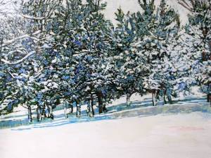 it-snowed-all-day-snow-solstice-28x40-