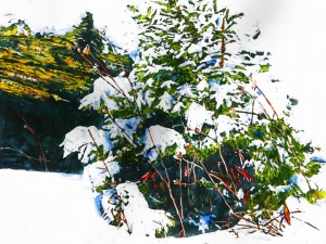 new snowfall for a new pine 4 24x24 watercolour acrylic painted directly on gessoed panel 1680 at studio