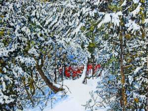 overnight-snowfall-18-40-x-40-