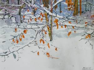 overnight snowfall at the edge of winter 20x26