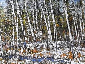 SOLD-life-lines-through-the-forest-26x41-