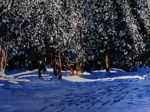 sunlight across a trail thru winter 20 x 48 