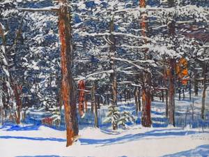 sunlight-after-overnight-snowfall-9-30x30-