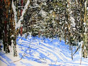 sunlit-clearing-10-40x46-