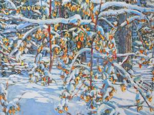 sunlit-silence-after-an-overnight-snowfall-30x30-