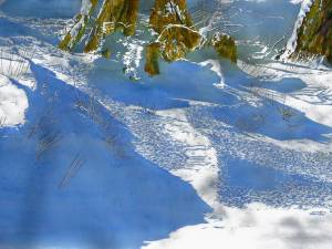 windrifts-26x40-