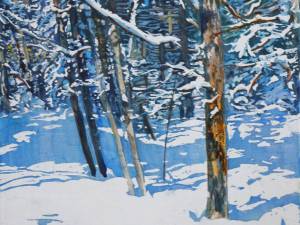 1_daylight-rolling-deeper-into-the-forest-16x16-wp