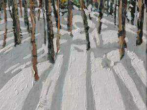 daylight-streamng-thru-the-forest-5-12x12-wp