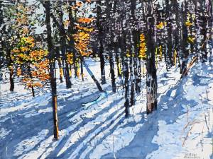 1_sunbright-day-beaver-pond-hardy-lake-18x24-