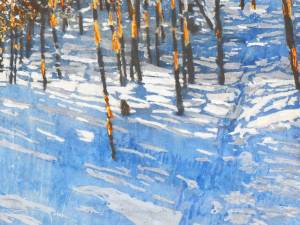 1_sunlight-crossing-path-to-the-lake-16x16-