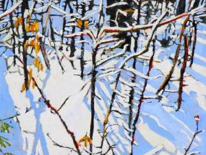 1_sunlight-streaming-down-the-shadow-side-of-winter-16x16-