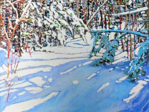 sunlite-n-shadows-across-an-unbrorken-trail-12x12