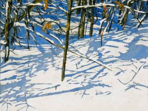 Sunshine-following-the-curve-of-the-day-24x24-