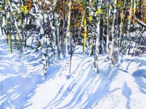 birches-12-mile-bay-rd-4-24x24-